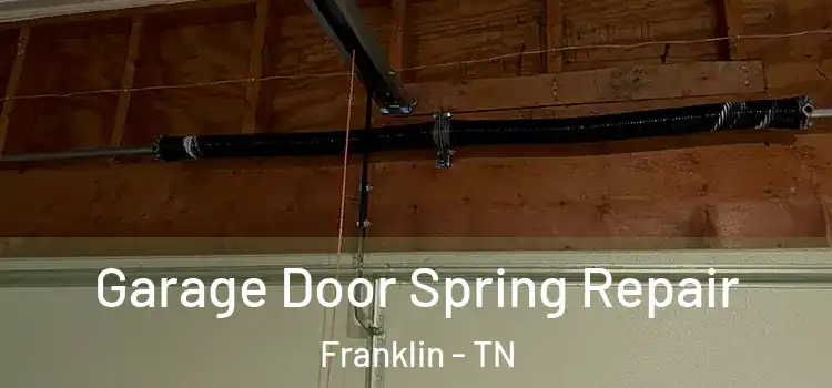  Garage Door Spring Repair Franklin - TN