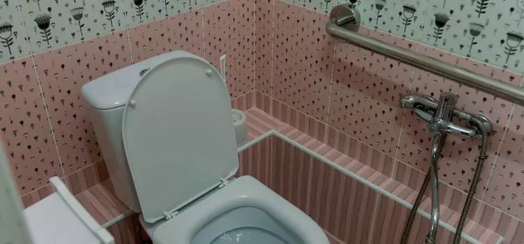 Meeting Diverse Needs With Accessible Restroom Solutions in Franklin, TN