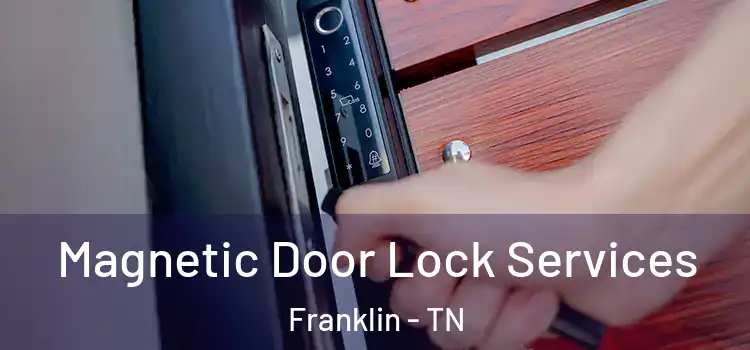 Magnetic Door Lock Services Franklin - TN
